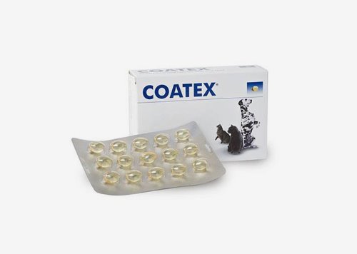 [DOG/CAT] 코텍스 블리스터 COATEX BLISTER 60캡슐 피부 장벽 강화 및 피부,모질 개선