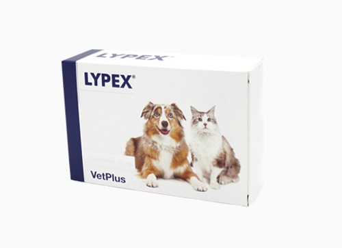 [DOG/CAT] 라이펙스 60캡슐 췌장효소성분 보조제