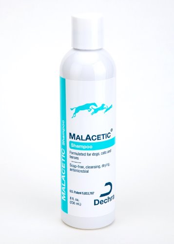 [DOG/CAT] 말아세틱 샴푸 355ml MALACETIC SHAMPOO