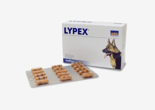 [DOG/CAT] 라이펙스 60캡슐 췌장효소성분 보조제