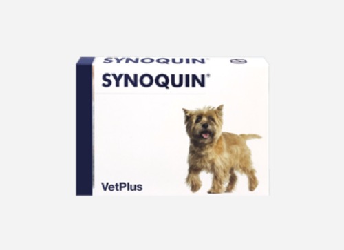 [DOG] 사이노퀸 정 소형견용 SYNOQUIN EFA SMALL BREED TABLETS 30캡슐 관절,연골건강