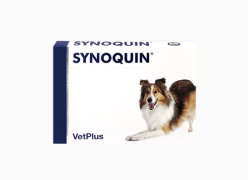 [DOG] 사이노퀸 정 중형견용  SYNOQUIN EFA MEDIUM BREED TABLETS 30정 관절,연골건강
